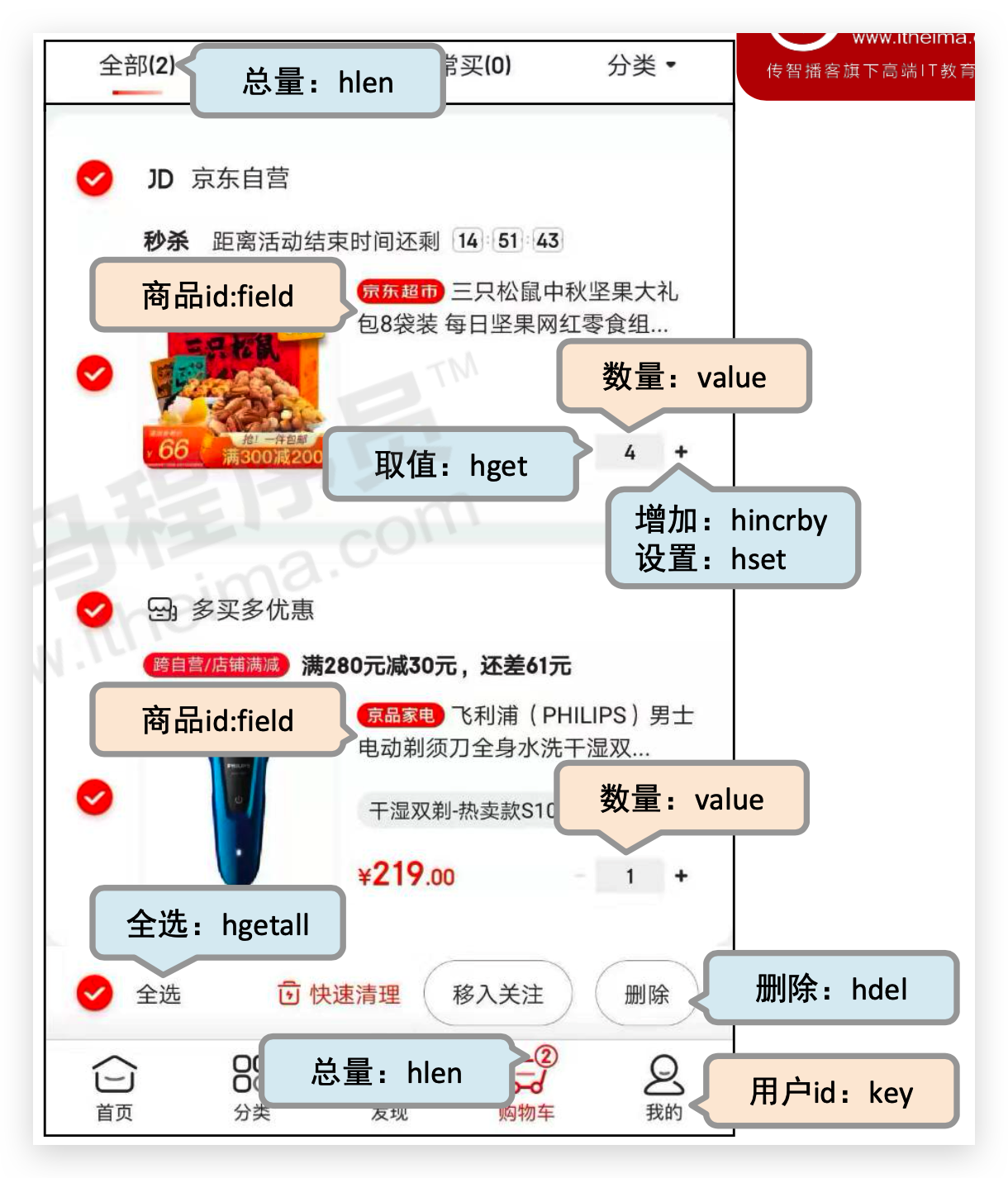 image-20210225002811887