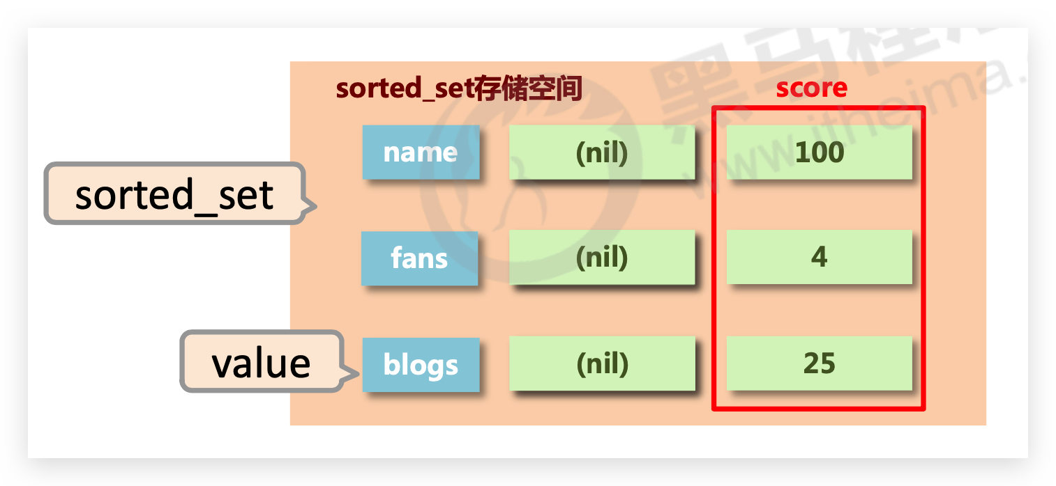 image-20210303225651746