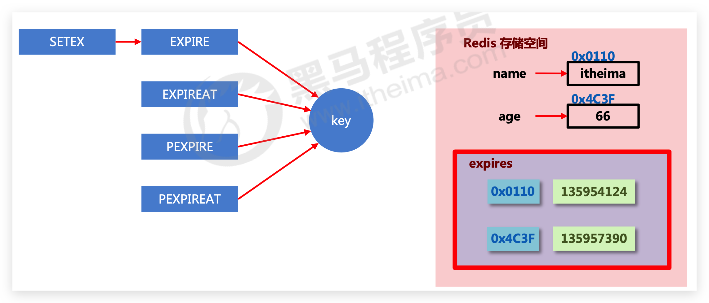 image-20210324003018848